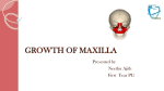 GROWTH  OF MAXILLA