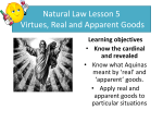 2-theme-2-b-natural-law-virtues-goods-and-acts