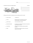 Biology Cell Membrane Quiz