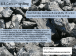 BioK 4.3 Carbon cycling.pptx