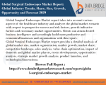 Global Surgical Endoscopes Market PPT -Healthcare