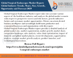 Global Surgical Endoscopes Market Pdf -Healthcare