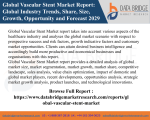 Global Vascular Stent Market report PPT -Healthcare