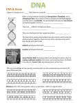 DNA - worksheet 1