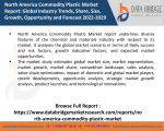 North America Commodity Plastic Market  PPT-Chemical Material