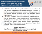 Global Nanofibers Market   Pdf