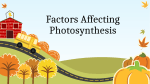 Factors Affecting Photosynthesis