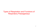 1. Types of respiration and functions of resp system-1