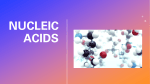 1E Nucleic Acid
