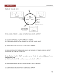 Ciclo de Calvin