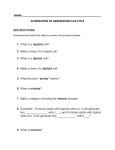 Alternation of Generations Worksheet