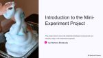 Introduction-to-the-Mini-Experiment-Project