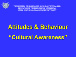 Cultural Awareness (4)
