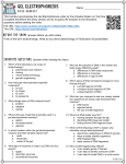 GelElectrophoresisAmoebaSistersVideoHandout-1